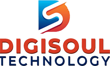 Digisoul Technology Logo